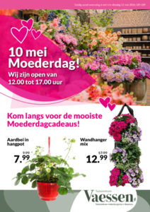 Entdecke unseren neuen Prospekt