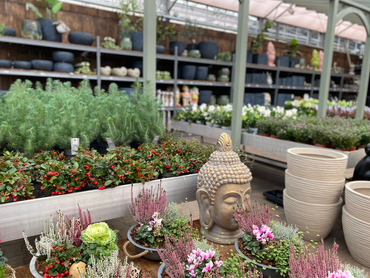 Unser erneuertes Geschäft